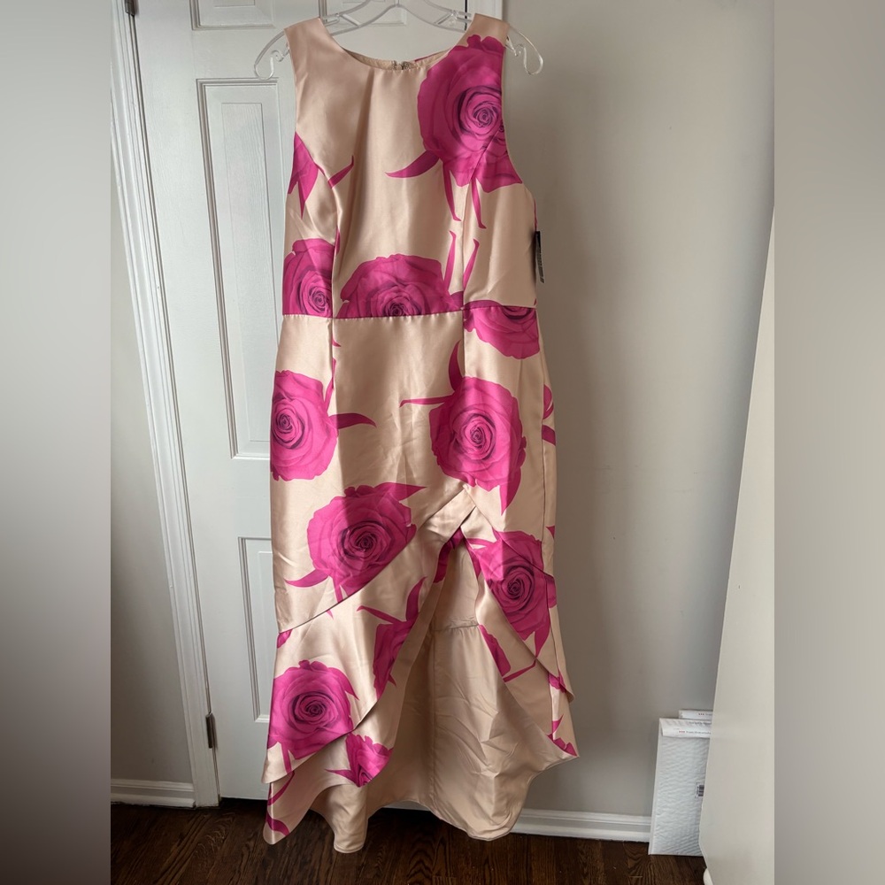 Boston Proper Pink and Cream Floral Dress